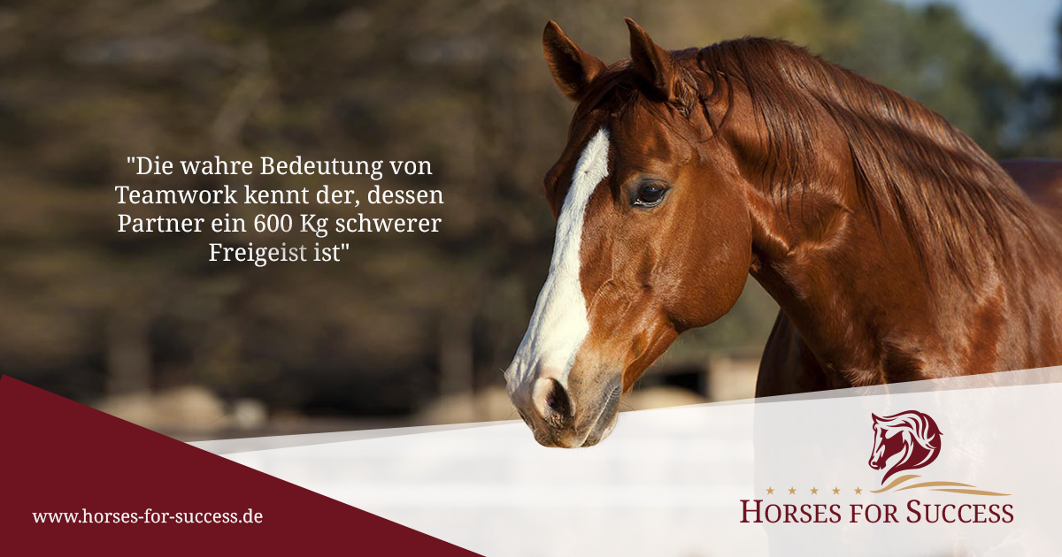 (c) Horses-for-success.de